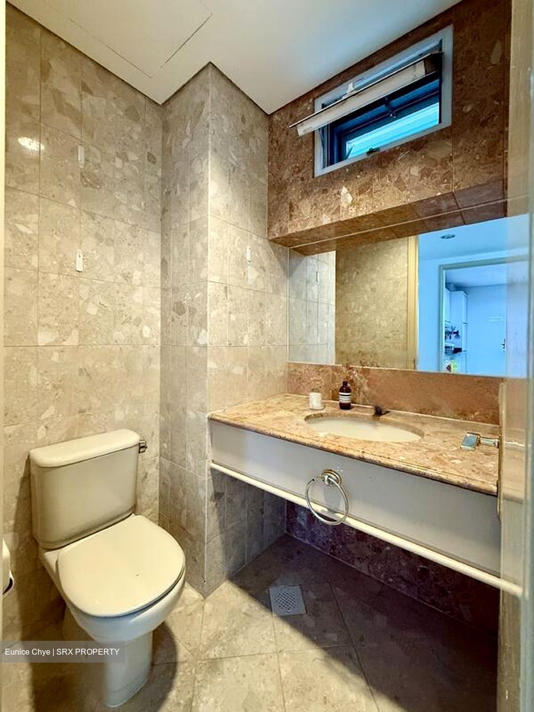 Chancery Park (D11), Condominium #486523631